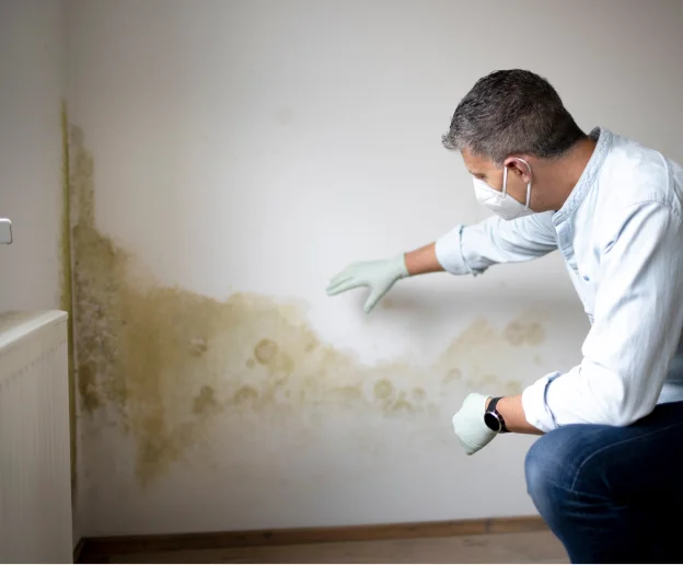 assèchement des murs à Romorantin-Lanthenay dans le Loir-et-Cher 41